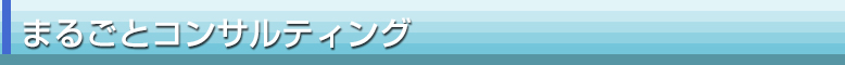 まるごとコンサルティング